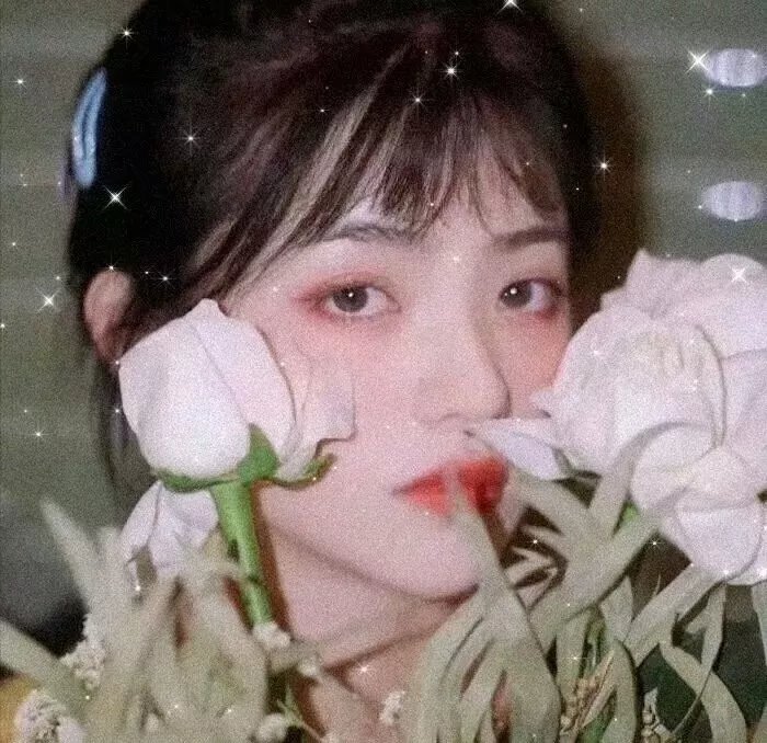 奔月